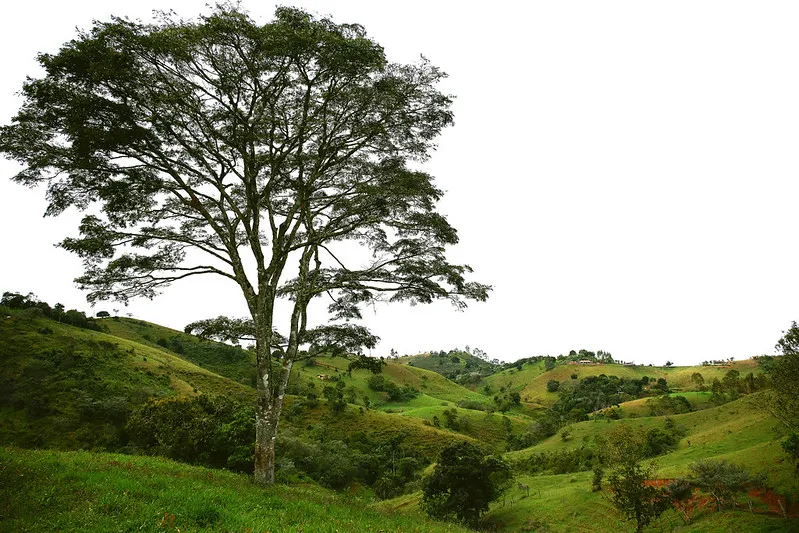 Brazil, landscape