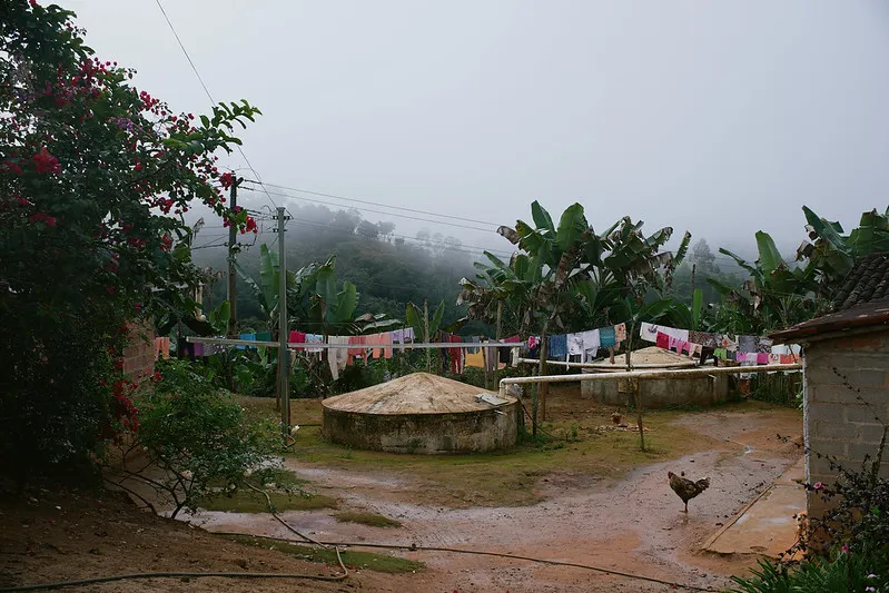 house, Brazil