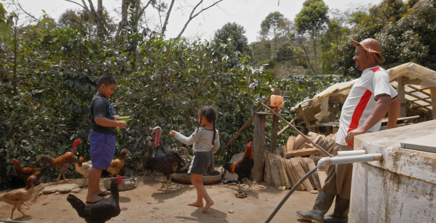 family, Brazil