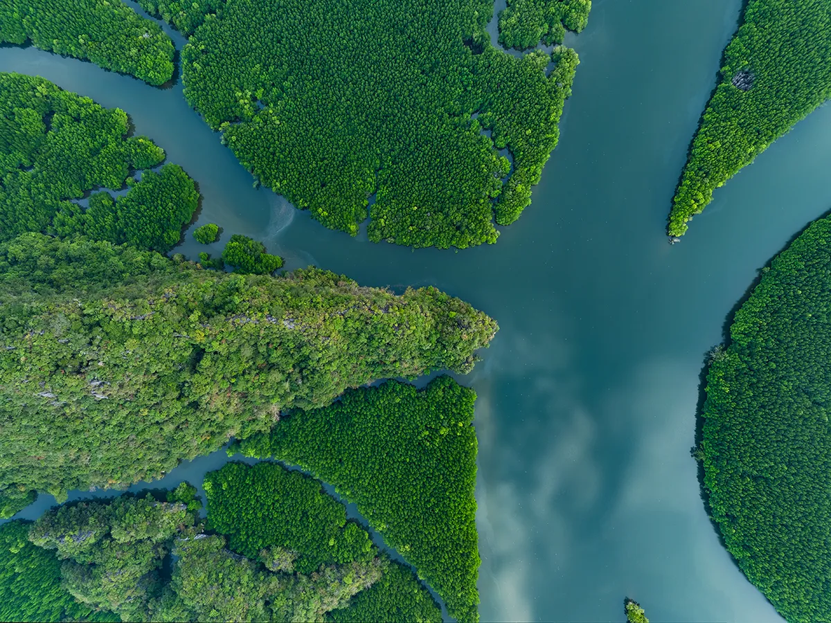 An aerial shot of a river in Southeast Asia